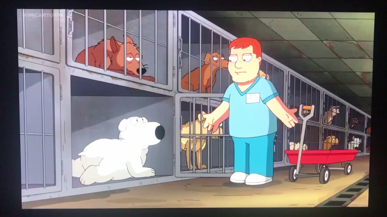 Family guy dead dog walking YouTube