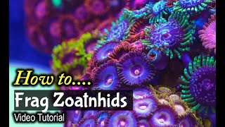 How To Frag Zoanthids