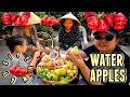 WATER APPLES (Trái Mận) MUKBANG 먹방 WITH MY FAMILY + UPDATE ON MY MOM&#39;S EXOTIC GARDEN + HUGE GIVEAWAY