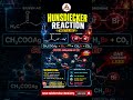 What is Hunsdiecker Reaction ? Trick for NEET & JEE