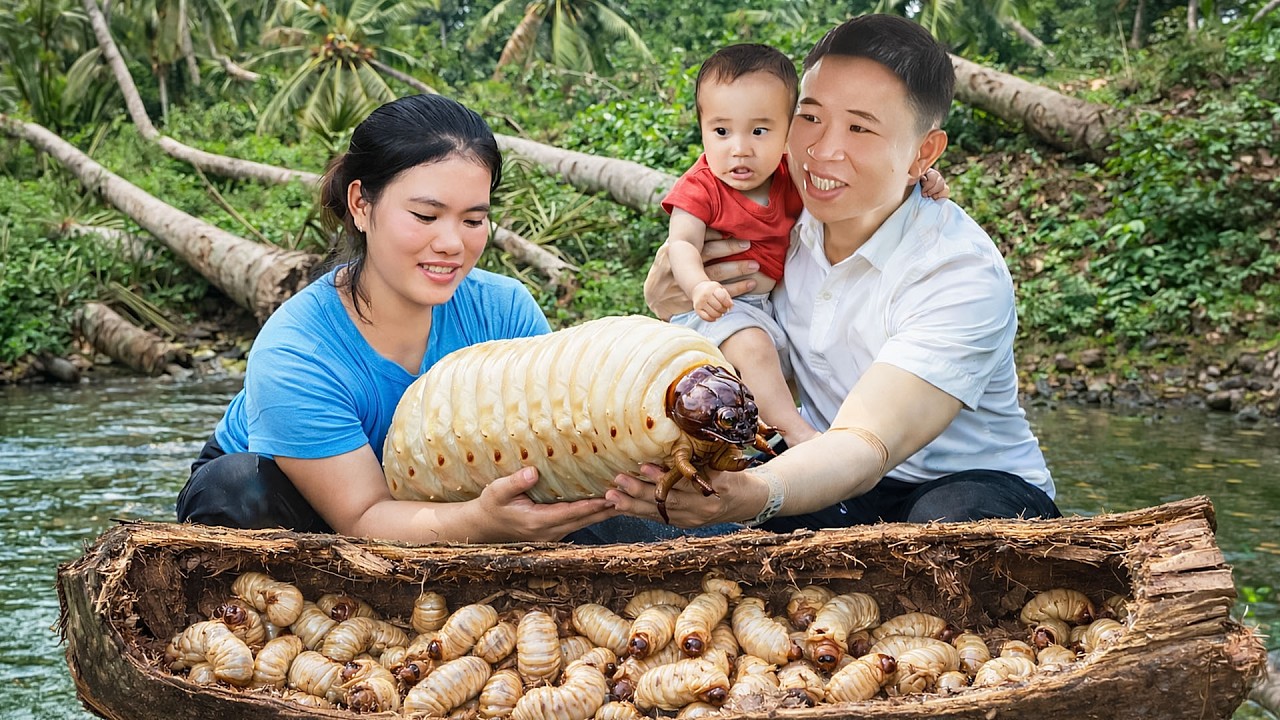 Catching Coconut Worms With My Husband To Sell At The Market – Cooking Meals And Taking Care  Son