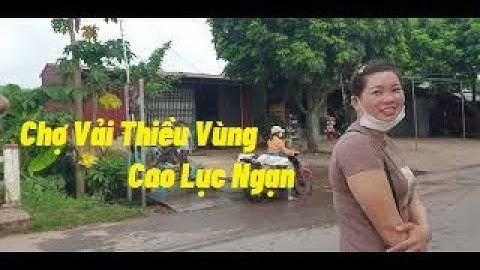 Chợ Vải Thiều Vùng Cao Lục Ngạn Giá Cuối Vụ I Núi Đồi Lục Ngạn