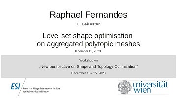 Raphael Fernandes - Level set shape optimisation on aggregated polytopic meshes