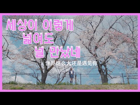 [중국노래추천] 세상이 이렇게 넓어도 널 만났네(世界这么大还是遇见你) - 정향(程响) 틱톡인기곡 뮤직비디오MV 한글가사/자막/병음 日本語訳 歌詞/字幕/ピンイン