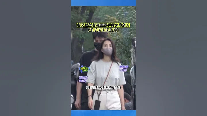 高圆圆赵又廷接娃 女儿抓爸爸手 活泼可爱颜值高 - 天天要闻