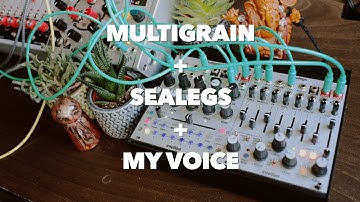 Using intellijel Multigrain, Sealegs and my voice as a real time playable instrument