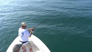 Tarpon Fishing May 2015 10 of 34 by wisedoc4300 34 views 8 years ago 21 seconds