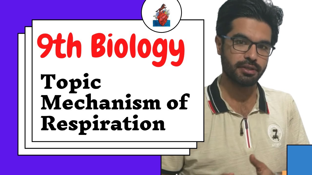 Mechanism Of Respiration | Class 9th Biology | Cha 7 in pashto | Home Of Biology