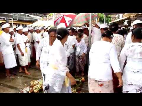 Nunas Pabersihan para Pemangku, Pemoncol, Tegak 66, Prajuru, Panitia, lan Pemangku Dadya Pujawali Al