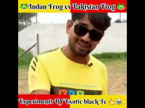 India vs Pakistan | Indian frog vs pakistan frog | Experiments video | Crazy xyz New video #shorts - India vs Pakistan | Indian frog vs pakistan frog | Experiments video | Crazy xyz New video #shorts