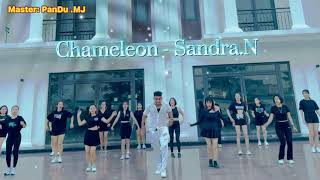 SANDRA N - Chameleon ( by Monoir ) |fitness Choreo | Zumba | Vietnam 🇻🇳