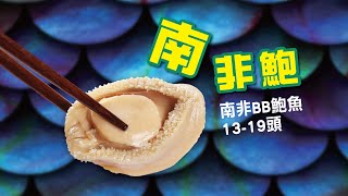 大棧 - 產品介紹：南非BB罐頭鮑魚13-19頭