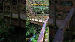 Ruta del Agua | Cascada Salgueira | Taramundi #nature #naturaleza #asturias #hiking
