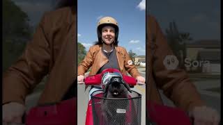 Bunny riding a scooter #bunny #animal #rabbit #mycuterabbit