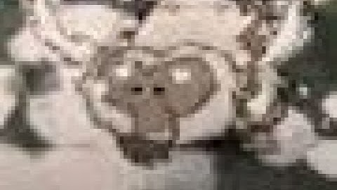 Beefalo Taming in a nutshell