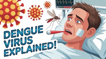 Dengue Fever Explained: Causes, Symptoms & Prevention