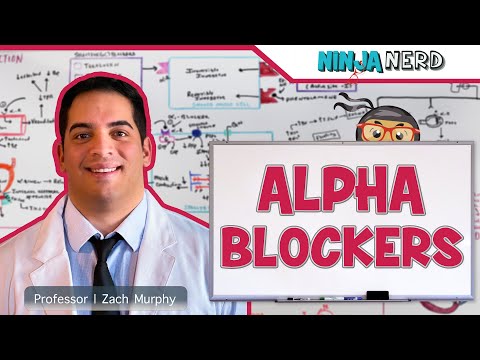 Alpha Blockers | Mechanism of Action, Indications, Adverse Reactions, Contraindications