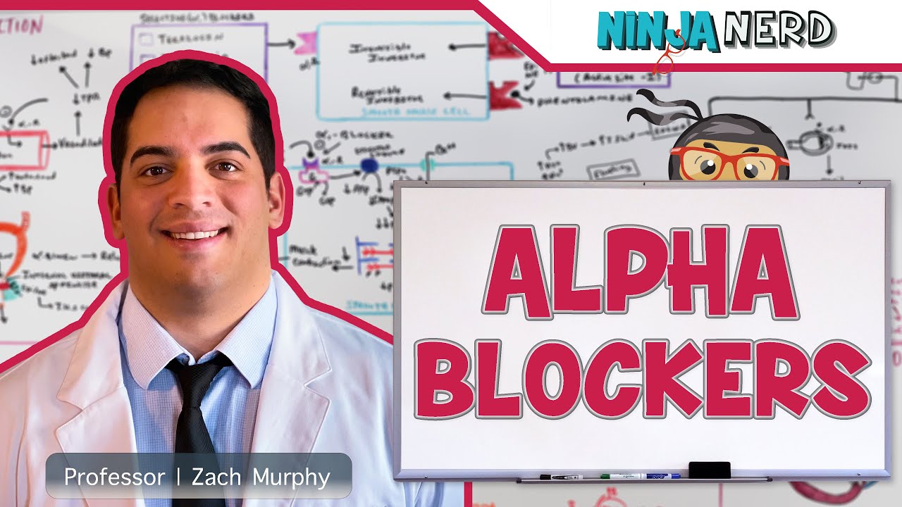 Alpha Blockers | Mechanism of Action, Indications, Adverse Reactions, Contraindications