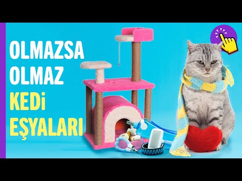 Kediniz için Olmazsa Olmaz 8 Kedi Eşyası | Kedi Ürünleri | Kedi Videoları | Hayvanlar Alemi