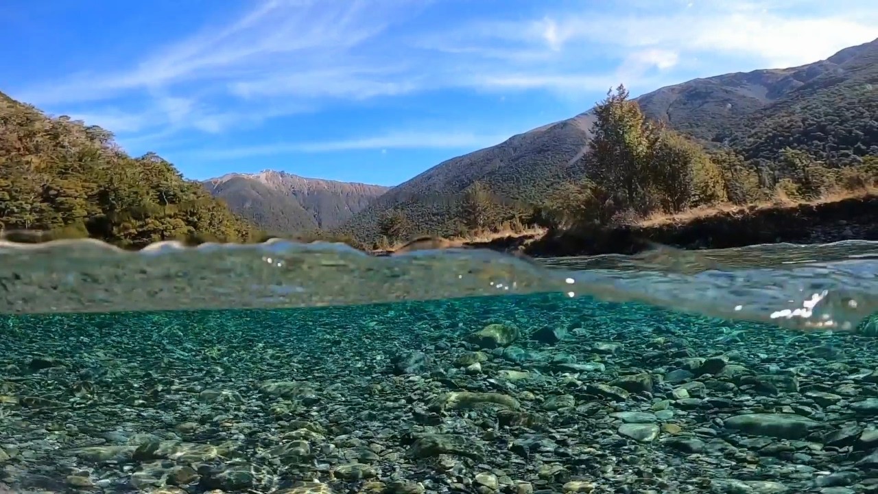 Epic Fly Fishing Adventure on PRISTINE New Zealand River
