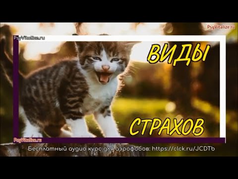 Виды страхов