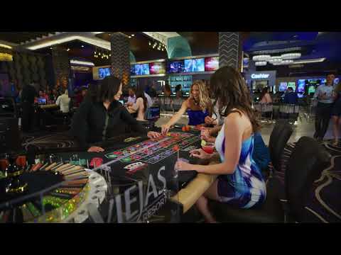 HUGE WINS!!!! on FORTUNE COIN Slots