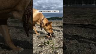 Weve Come A Long Long Way Together..