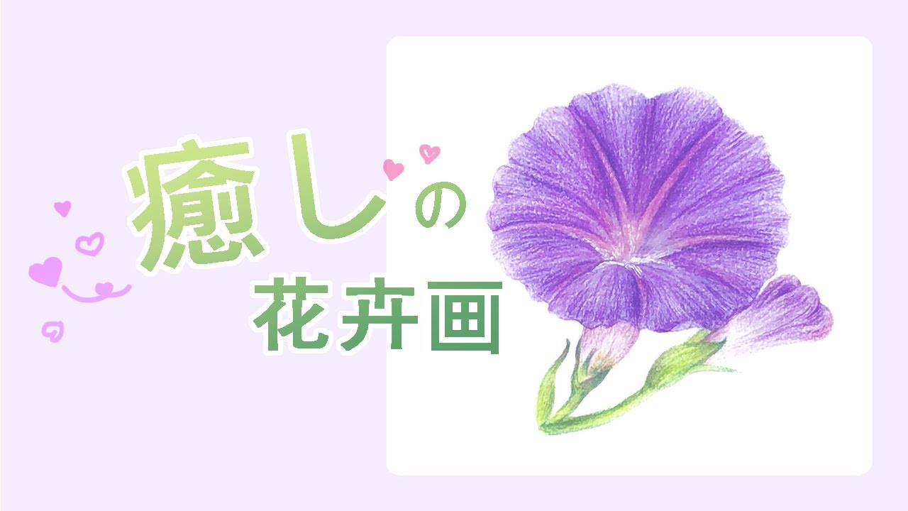 #71《粉彩畫花卉 / 畫牽牛花 / 畫朝顏 /畫喇叭花 》粉彩 + 色鉛筆