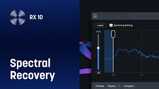 RX 10 Spectral Recovery: Fix Bad Quality Audio | iZotope screenshot 4