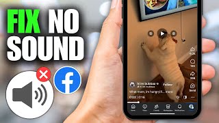 How To Fix No Sound on Facebook Videos / Reels
