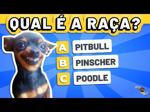 Vídeo: Geeks são pessoas ou animais?