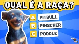 ADIVINHE A RAÇA DO CACHORRO | QUIZ ANIMAL