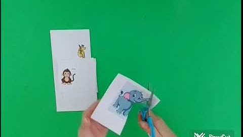 MN Phú Hiệp-4-5. Cắt dán con vật sống trong rừng