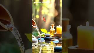 Relaxing Music for Stress Relief🌿 #stressrelief #relaxingmusic #deepsleep