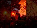Golden Breeze Avenue #shorts #fypシ  #autumn #music #nature #musicgenre #relaxing