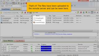 Uploading files using CuteFTP
