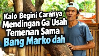 If It's Like This, It's Better Not to Be Friends with Bang Marko