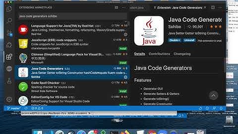 Using the Sohibe Java Generator Extension to VSCode