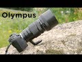 Olympus 40-150mm F2.8 - The ZOOM to have!
