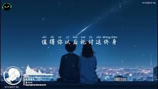 迟早有天 - 夏心心『爱你的人舍不得你伤心，不爱的人只会逼你狠心。』这节奏一听就上头 ♪【高音質/動態歌詞/Pinyin Lyrics】♪