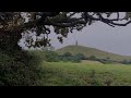 Cold Rain Sounds Under the Tree in England | Gentle Rainfall for Relaxing, Sleeping Deeply, Insomnia