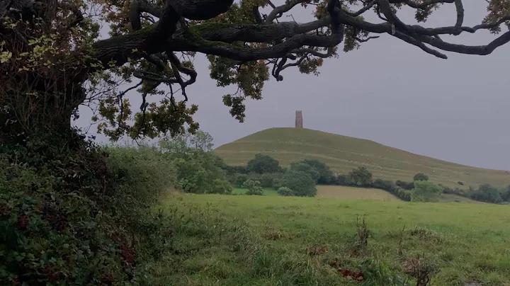 Cold Rain Sounds Under the Tree in England | Gentl...