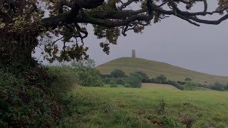Cold Rain Sounds Under the Tree in England | Gentle Rainfall for Relaxing, Sleeping Deeply, Insomnia