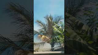 Chaguaramas Trinidad #trinidadandtobago