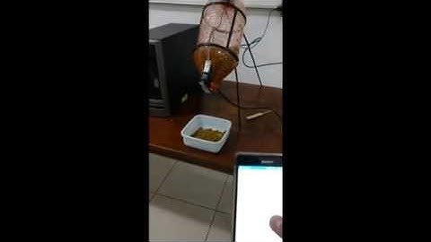 Alimentador remoto de animais de estimação - Colégio Delta