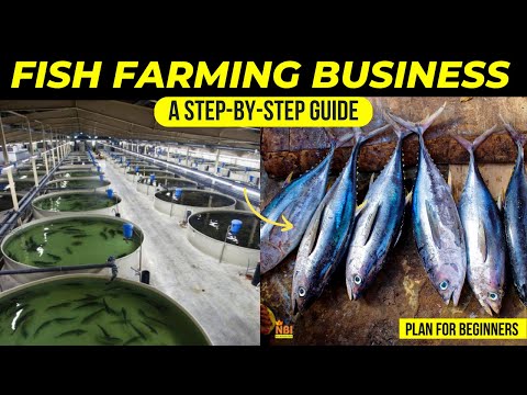 Fish Farming Business Plan for Beginners - A Step-by-Step Guide
