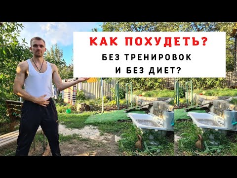 Как похудеть без тренировок и диет?