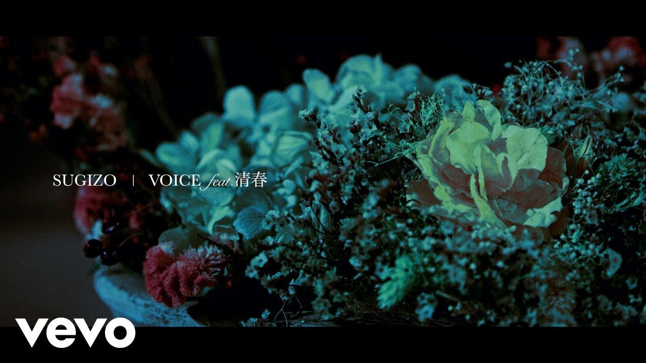 チン様LUNA SEA SUGIZO 香月優奈TheFLARE DVD The Flare - Starlight (Living on the Guiding Light DVD