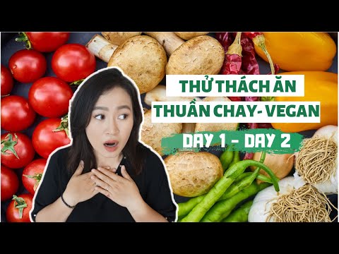 Video: Chó Có Thể Phát Triển Mạnh Nhờ Chế độ ăn Thuần Chay Không?