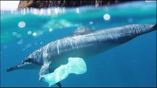 #SayNo2Plastic with 2022 Discovery Earth Day